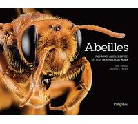 Abeilles: Face-à-face avec les espèces les plus incroyables du monde