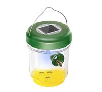 Abeilles, guêpes et frelons (1)