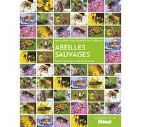 Abeilles sauvages - Nicolas Vereecken - Glénat - broché - Guide
