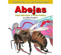 Abejas/bees: Por Dentro Y Por Fuera / Inside And Out