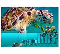 Abenteuer Riff - bunte Unterwasserwelt (Wandkalender 2026 DIN A2 quer), CALVENDO Monatskalender: Fantastische Unterwasseraufnahmen zeigen das ... an paradiesischen Korallenriffen der Erde