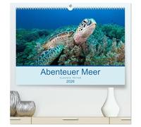 Abenteuer Unterwasser (hochwertiger Premium Wandkalender 2026 DIN A2 quer), Kunstdruck in Hochglanz: Unterwasseraufnahmen aus den tropischen Gewässern um Indonesien (Raja Ampat), Bali und Fiji