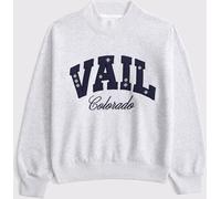 Abercrombie & Fitch Abercrombie & Fitch Grey Ski Resort Sunday Mockneck Crew Neck Sweatshirt