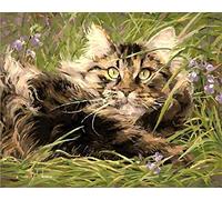 ABEUTY Peinture Numero Chat Prairie, Peinture par Numero 40x50 cm Peinture Numéro Bricolage