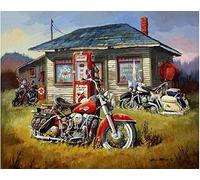 ABEUTY Peinture par numéros à faire soi-même pour adultes débutants - Moto sur l'herbe à l'extérieur de la maison 40,6 x 50,8 cm Peinture numérotée (sans cadre)