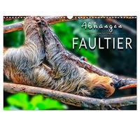 Abhängen - Faultier (Wandkalender 2026 DIN A3 quer), CALVENDO Monatskalender: Eindrucksvolle Bilder der Meister der Langsamkeit.