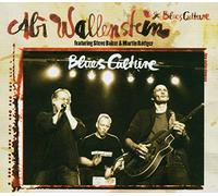 Abi Wallenstein - Blues Culture [Import]