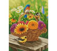 Abillyn Kits de broderie au point de croix Panier de fleurs colorées et oiseaux estampillés avec motif imprimé Kit de démarrage (Oiseaux)