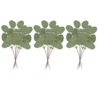 Abiyou 15 Pièces Branches D'eucalyptus Artificielle, Tiges D'eucalyptus Artificielles, Eucalyptus Artificielles, Feuilles Eucalyptus Artificielle,pour Bouquet de Mariage,Jardin Maison Décoration(Vert)