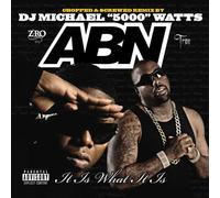 ABN It Is What It Is Screwed (CD)