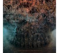 Abnormality - Contamination of The Hive Mind [Import]