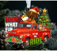 ABNSDesigns Décoration de Noël en acrylique en forme de dogue allemand - Look What Fun It is to Ride - Décoration d'arbre de vacances camion rouge - Souvenir festif à suspendre