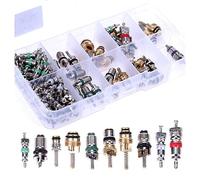 Aboiled Assortiment de 104 valves de climatisation de voiture, A/C, AC, noyau de valve Shrader et outil pour valves HVAC R134 R12