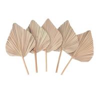 Aboiled Décoration d'intérieur en feuilles de palmier séchées, 5 pièces - 45,7 cm H x 25,4 cm l - Grande décoration naturelle en feuilles de palmier pour un beau look bohème