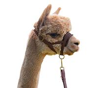Abolengo de Alpaca Kit de conduite en alpaga avec licol en cuir synthétique de qualité supérieure.