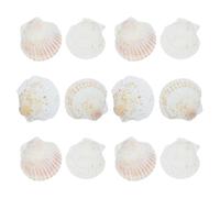 ABOOFAN 12 Pièces De Fruits De Mer - Décor De Coquillages Blancs À Peindre, Idéal pour Décorer Une Assiette De Service, La Pâtisserie, Mariages Et Grillades. Décoration Naturelle