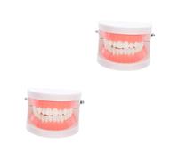 ABOOFAN 2 pièces Modèle Pédagogique Standard pour Démonstration Modèle Oral Réaliste pour Éducation Bucco des Garçon Fille Facile à Nettoyer et