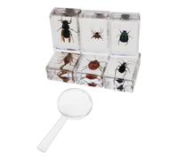 ABOOFAN 7 Pièces Modèle D’Insecte en Acrylique pour Enseignement | Observation Réaliste, Présentation Éducative, Support Pédagogique, Transparence Élevée, pour École Maternelle et Enseignants