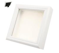 ABOOFAN Cadre Boîte à Ombres D'insectes 5x5 Pouces, Présentoir Carré