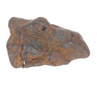 ABOOFAN Échantillon De Météorite Naturelle 2-3 Cm En Olivine, Spécimen Scientifique Pour t Décoration, Modèle Pédagogique Compact Léger Pour Enseignement Des Sciences