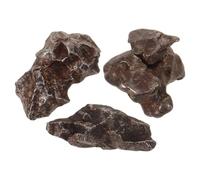 ABOOFAN Échantillon Naturel de Météorite Ferreuse Pierre Brute pour Enseignement Scientifique Spécimen Minéral Unique et Objet de Collection Véritable