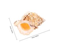 ABOOFAN Grand Coquillage Naturel pour Décorer Aquarium Support Plante Aérienne Ornement Déco Intérieur