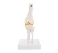 ABOOFAN Modèle Articulation Du Genou Anatomique Nature avec Ligaments Modèle Squelette Réaliste pour Enseignement et Étude Du Mouvement Pédagogique PVC