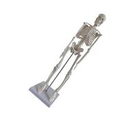 ABOOFAN Modèle de Squelette Humain, Modèle de Squelette Médical en Pvc Blanc, Posture Debout sur Support, Détails Précis, Portable, pour Étudiants, Écoles et Bureaux, Anatomie du Corps