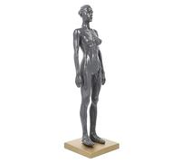 ABOOFAN Modèle de Structure Musculaire Féminine Résine avec Base Aléatoire Figure Artistique Anatomique pour Enseignement Du Corps et Dessin Musculaire Couleur Aléatoire