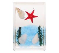 ABOOFAN Réel D’insecte en Acrylique Transparent pour Musées et Écoles | Cartes D’espèces Bilingues Incluses, Aspect Transparent, Résistant à Déformation, Anti Poussière