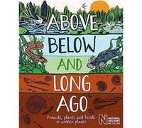 Above Below and Long Ago by Michael Bright Michael Bright (Auteur)