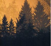 Above Earth Below The Sky [Import]