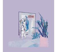 Abracadabra - Shapes & Colors [Import]