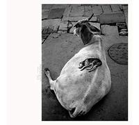 Abrahams Leo & Shahzad Ismaily - Visitations