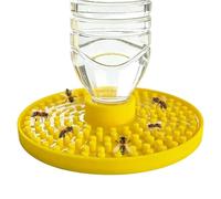 Abreuvoir à Abeilles Réutilisable avec Plateau en Nid d'Abeille | Station d'Hydratation pour Abeilles pour Pelouse, Terrasse, Jardin, , Balcon, Débutants et Apiculteurs