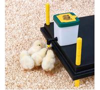 Abreuvoir à pipette poussins et cailles 0,5 L Olba Olba