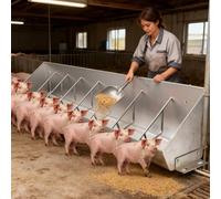 Abreuvoir en acier inoxydable pour animaux de la ferme - Gamelle robuste pour bovins, moutons et veaux