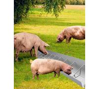 Abreuvoir et abreuvoir pour animaux de la ferme en acier galvanisé pour plusieurs animaux de la ferme