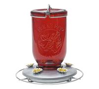 ABREUVOIR pour 786 Rouge Bocal en verre Colibri Feeder