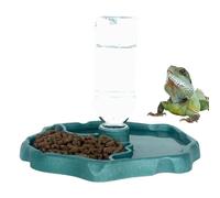Abreuvoir Pour Reptiles Cuvette Détachable Résistante aux Chocs