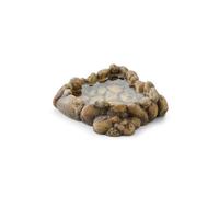 Exo Terra Bol d'eau pour reptiles ECK Taille Moyenne