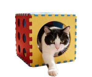 Abri pliable pour chats, avec judas interactif, convient pour animaux de compagnie jusqu'à 5,4 kg, pour exercice, entraînement, utilisation dans le jardin, l'intérieur, le salon, les petits