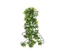 Abri pour reptiles Komodo Croton Plant Vert 30 cm