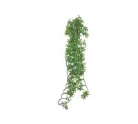 Abri pour reptiles Komodo Papaya Leaf Vine Vert 35 cm