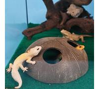 Abri Refuge pour Reptiles Cachette décorative Naturelle Fait Main à Double