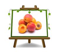 Abricotier Monteporzio Arbre fruitier Hauteur: 180~200 cm Âge: 4 années Pot: 26 cm