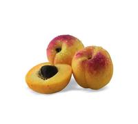 Abricotier nain petit' abri® - nains de jardin® - pot de l