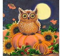 Abris Art AM-190 Kit de broderie au point de perles en coton Multicolore 15 x 16 cm