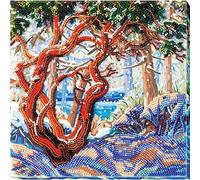 Abris Art AMB-038 Kit de broderie au point de perles en coton Multicolore 20 x 21 cm