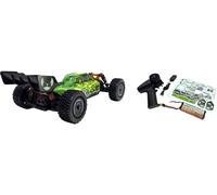 Absima 1:12 EP Buggy Neon Furry 4WD BL RTR Green brushless 1:12 Auto RC électrique Buggy 4 roues motrices (4WD) prêt à fonctionner (RtR) 2,4 GHz avec accu et
